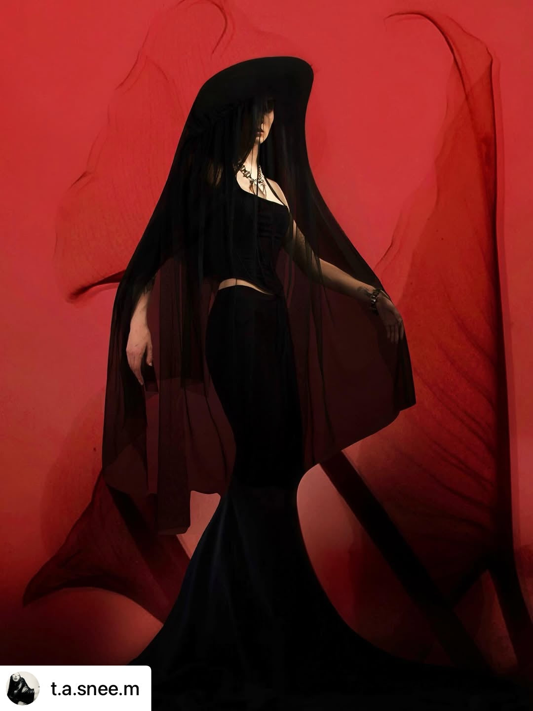Tasneem Grace. Behind the Image.